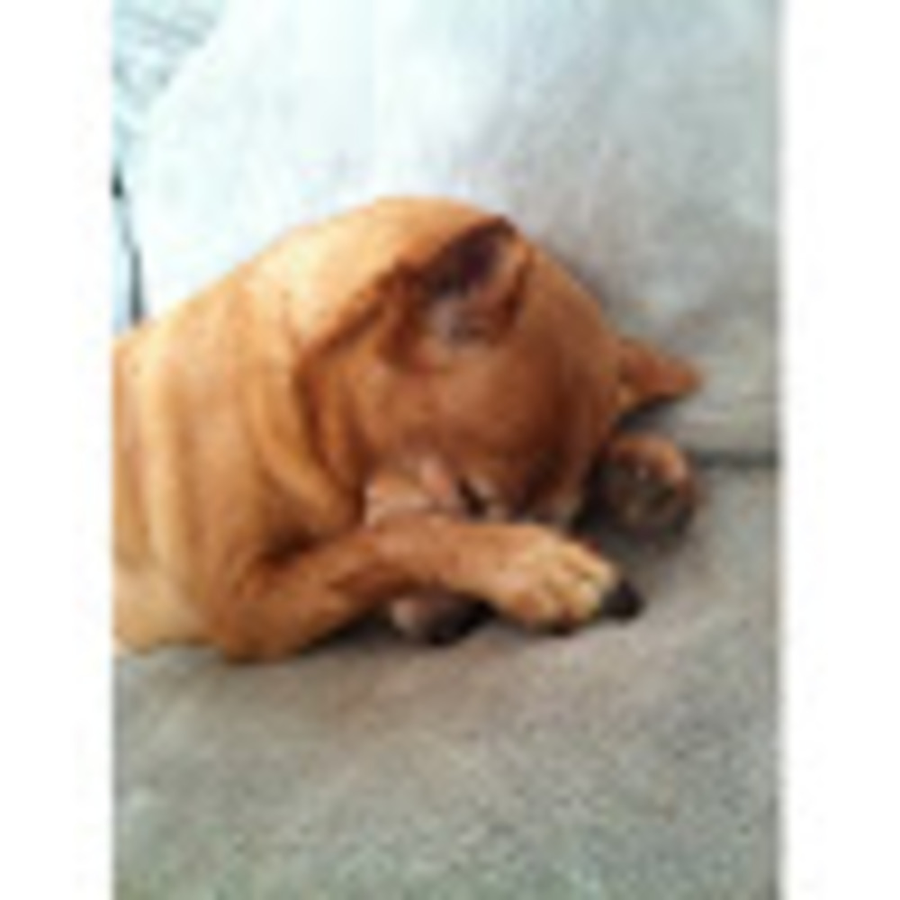 Meet your Posher, Kristi